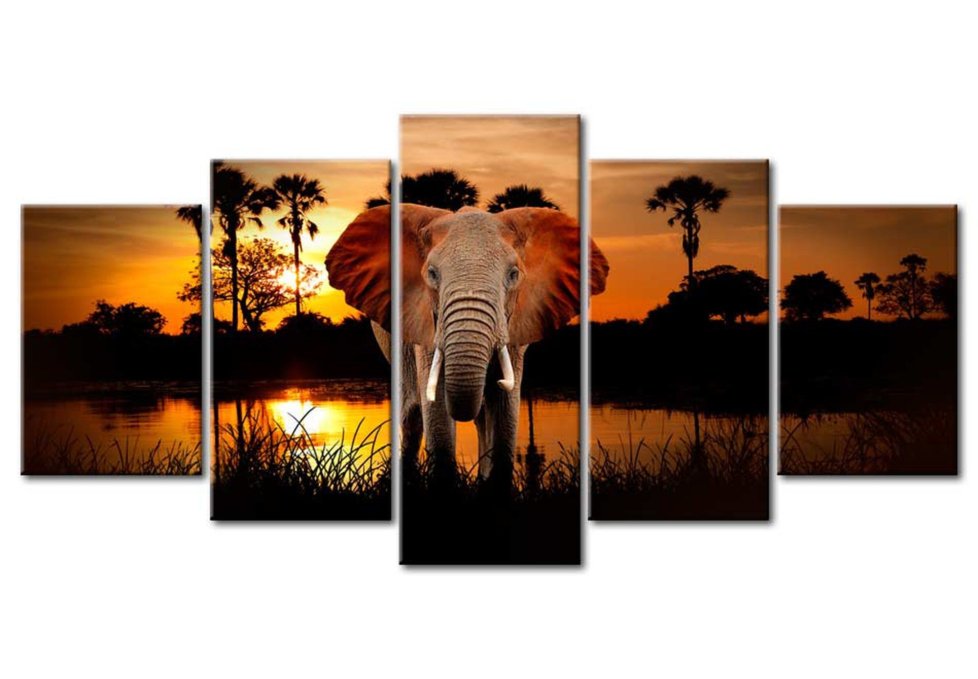 Animal Canvas Wall Art - Elephant At Sunset - 5 Pieces