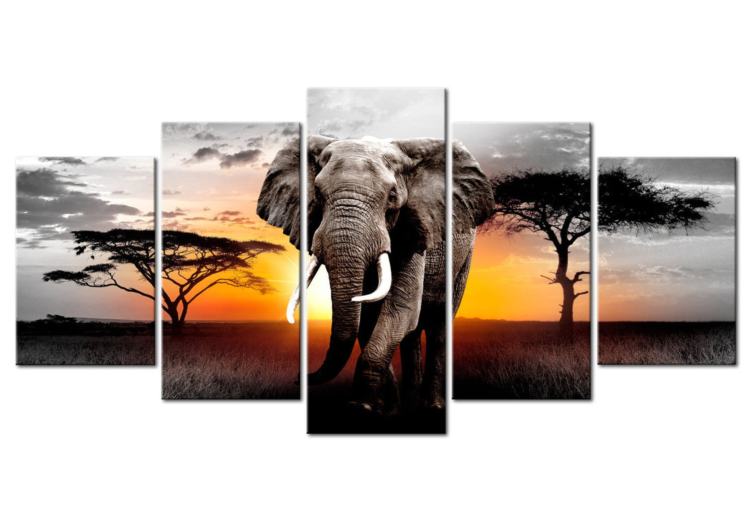 Animal Canvas Wall Art - Elephant At Sunset - 5 Pieces