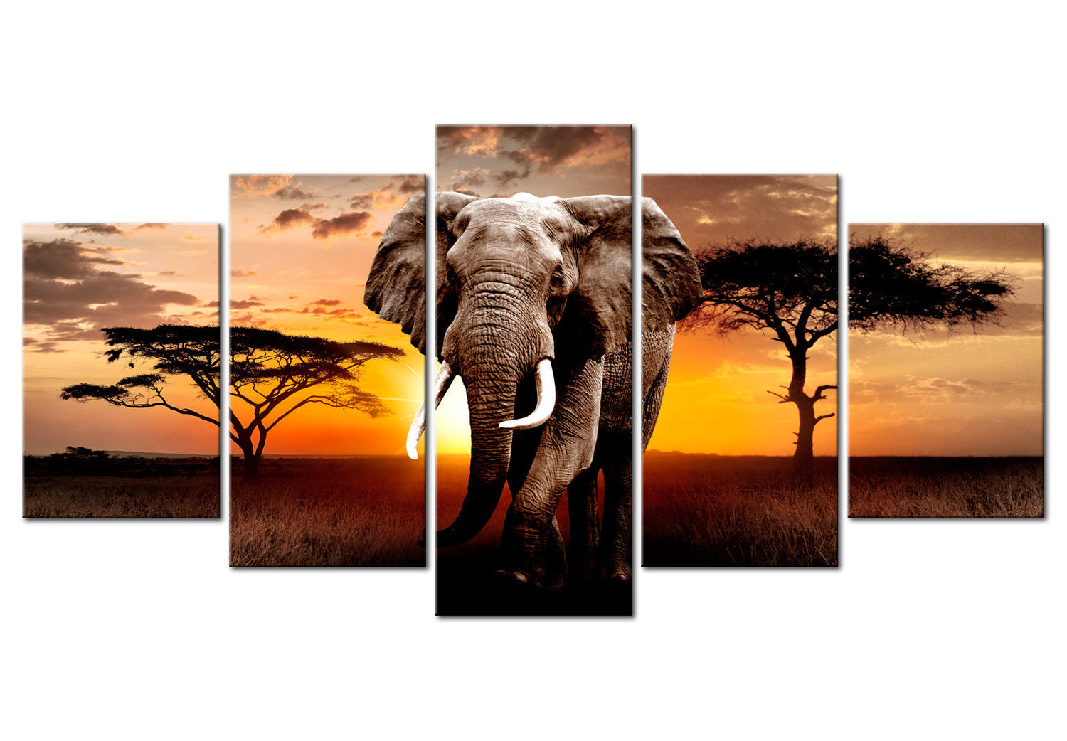 Animal Canvas Wall Art - Elephant Orange Sunset - 5 Pieces