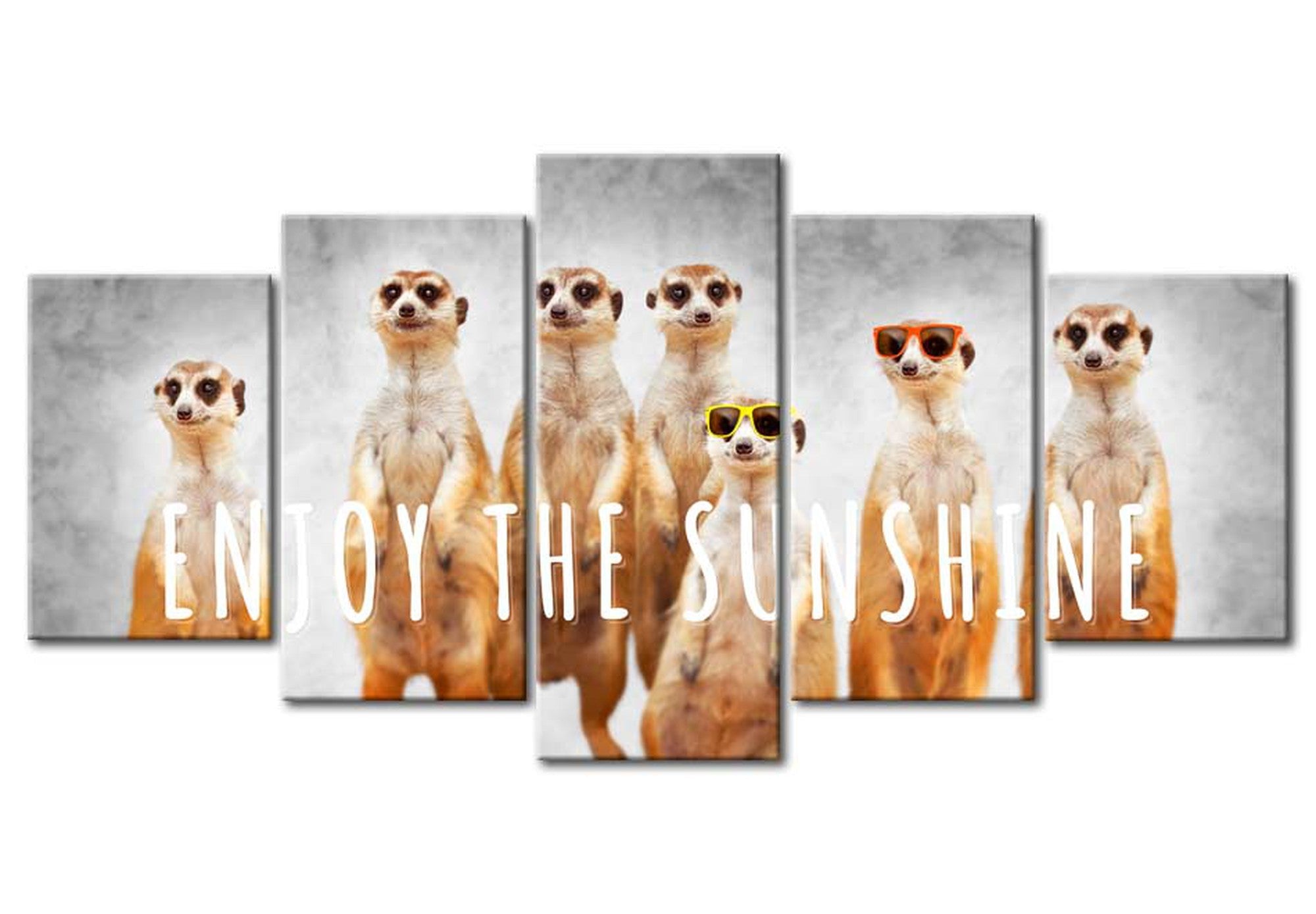 Animal Canvas Wall Art - Enjoy The Sunshine - 5 Pieces