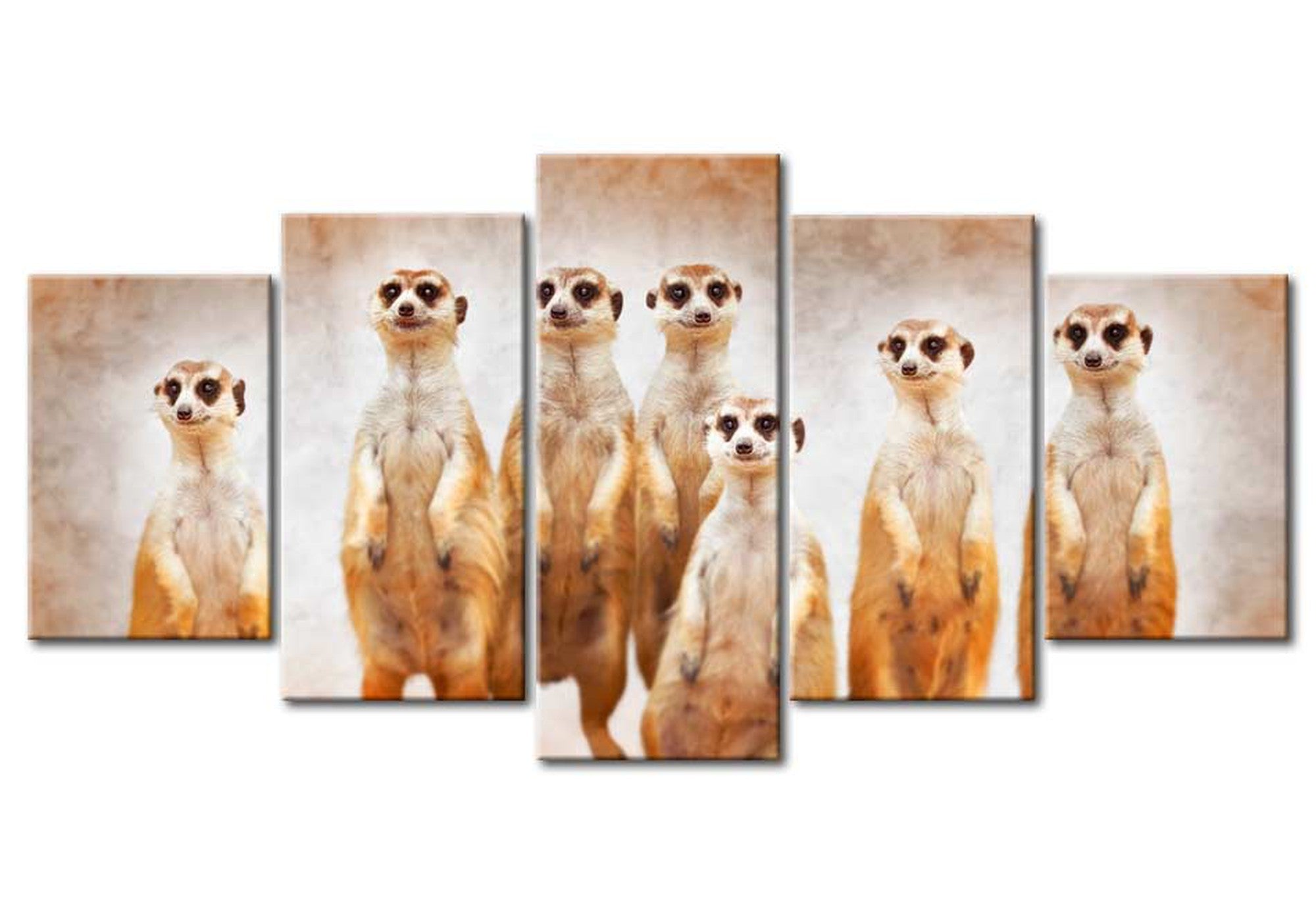 Animal Canvas Wall Art - Family Of Meerkats - 5 Pieces