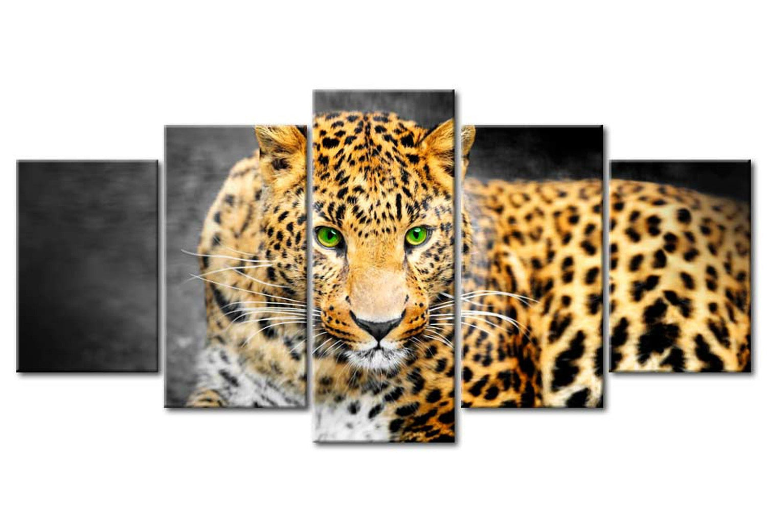 Animal Canvas Wall Art - Green Eyed Leopard - 5 Pieces