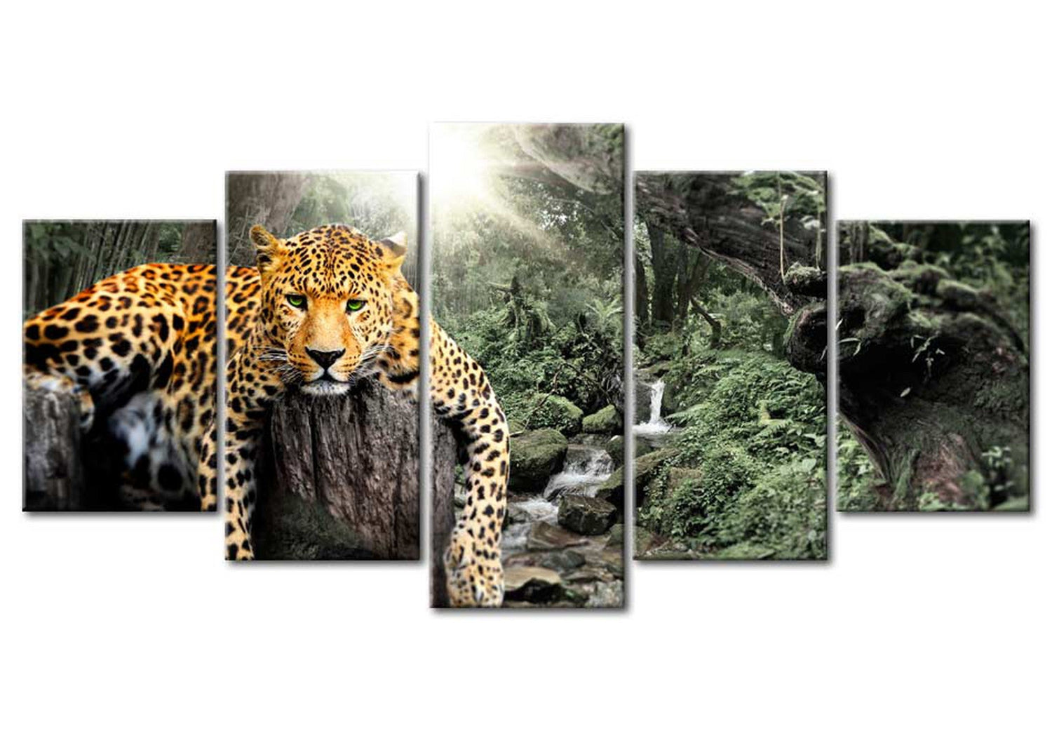 Animal Canvas Wall Art - Lazy Afternoon - 5 Pieces