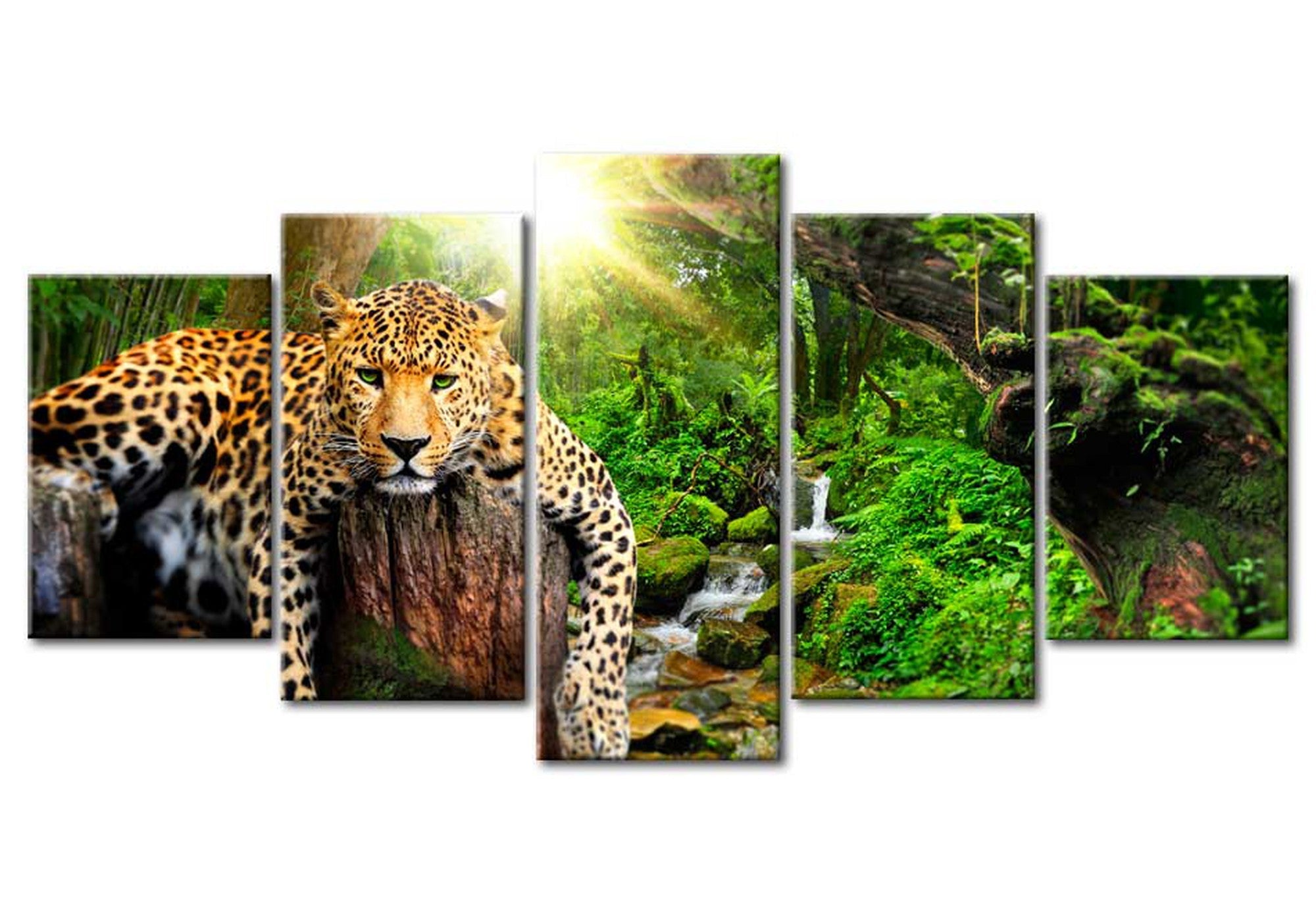 Animal Canvas Wall Art - Lazy Leopard - 5 Pieces