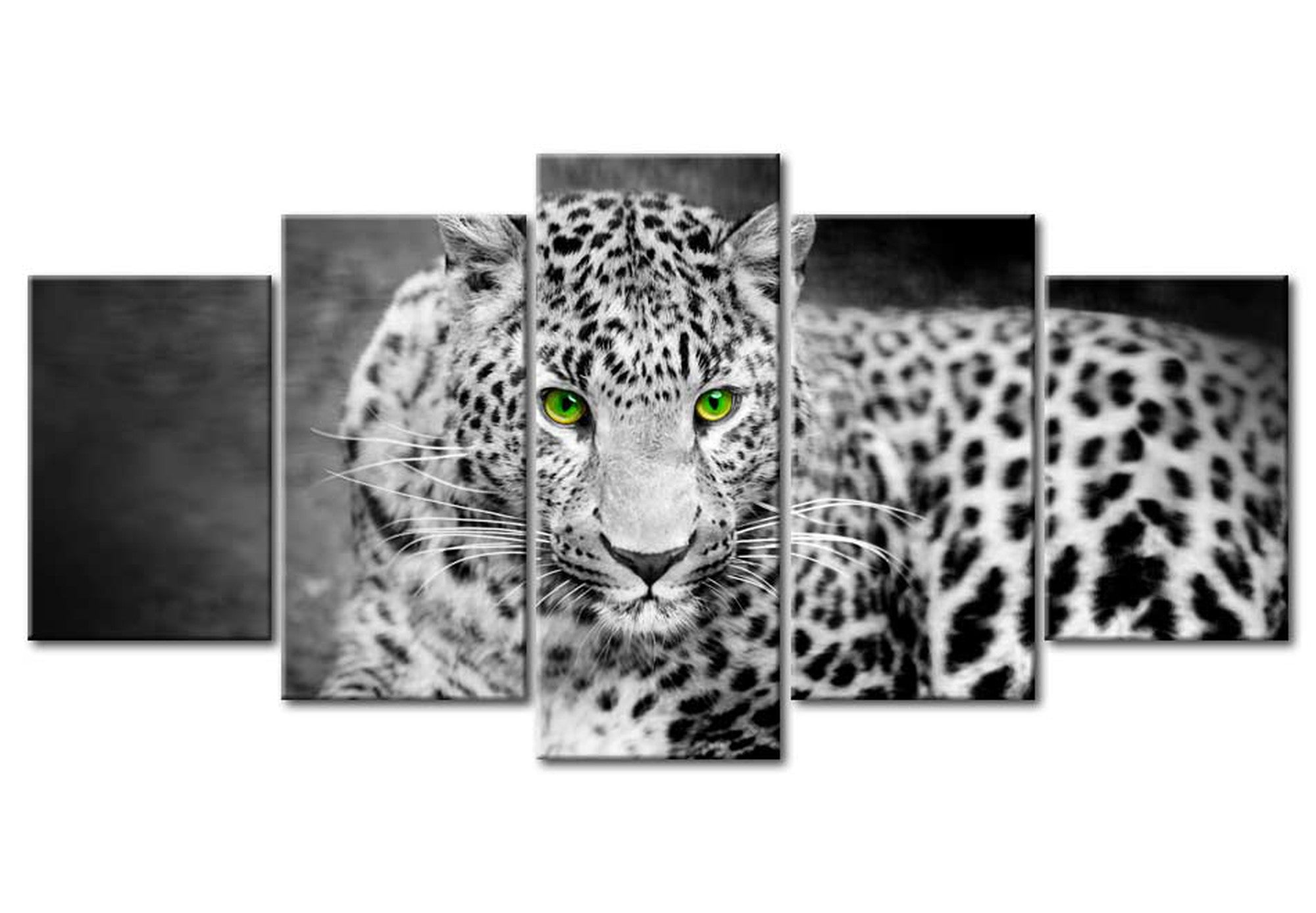 Animal Canvas Wall Art - Leopard - 5 Pieces