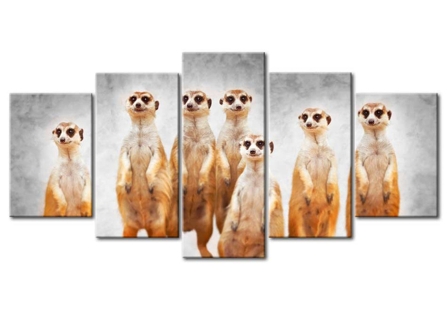 Animal Canvas Wall Art - Meerkats - 5 Pieces