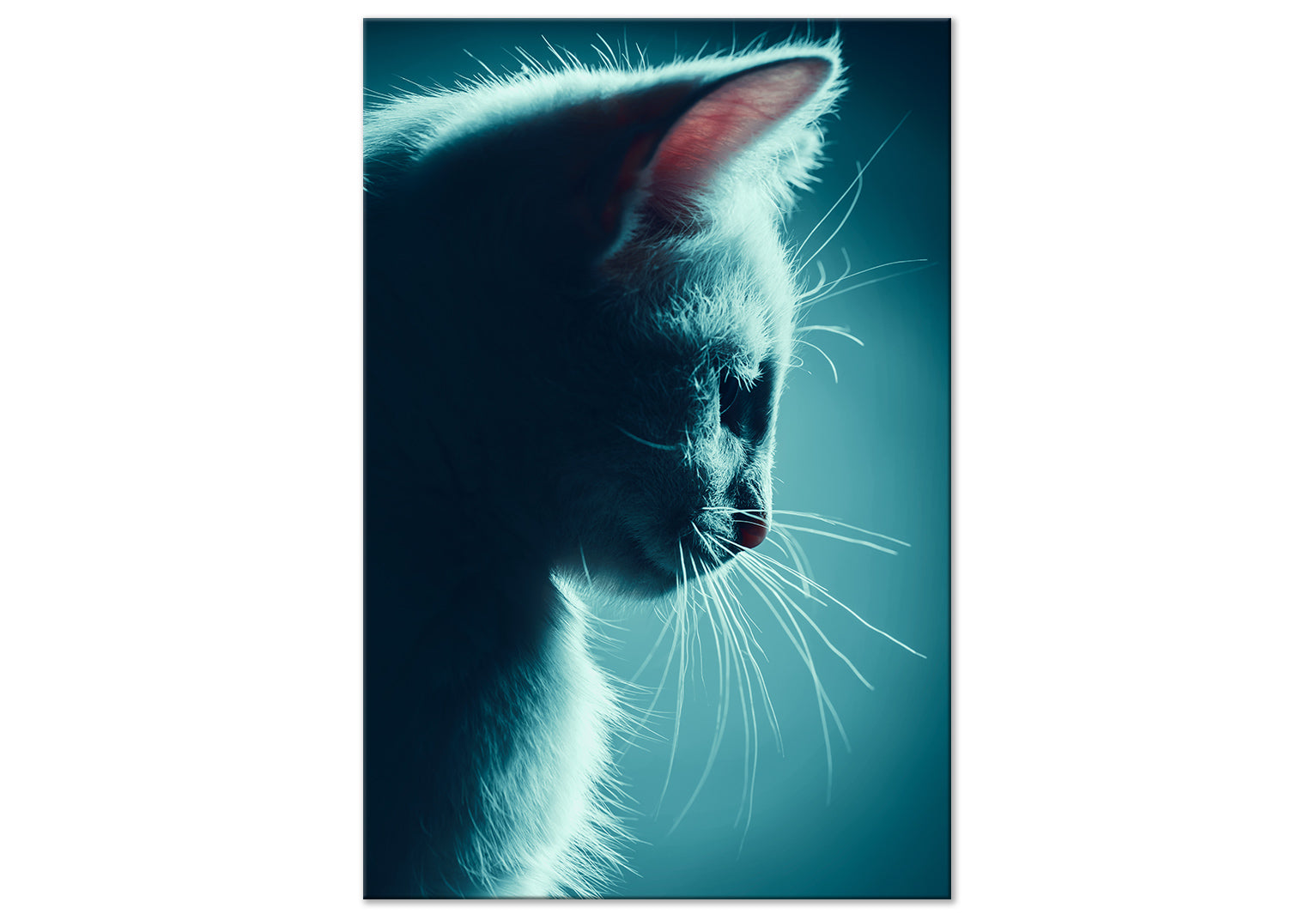 Animal Canvas Wall Art - Night Tramp