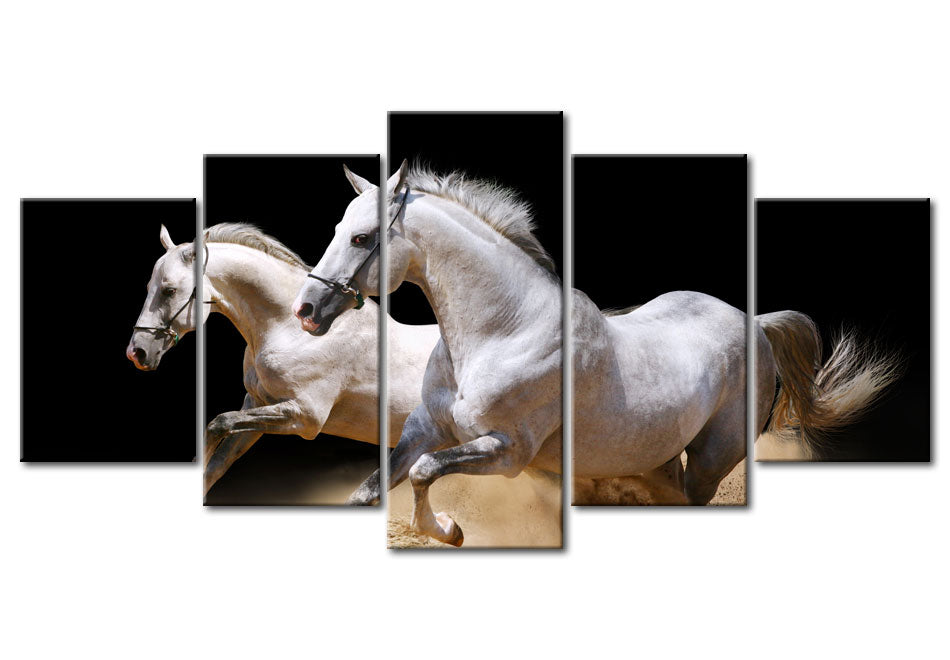 Animal Canvas Wall Art - Running White Horses - 5 Pieces