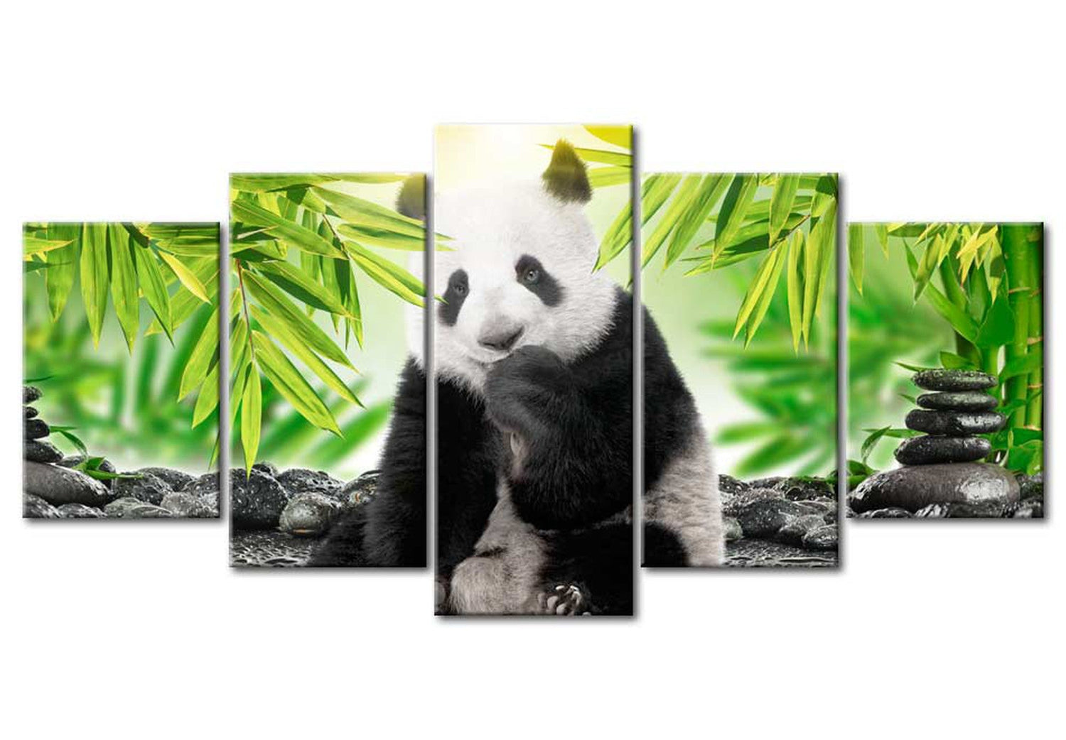 Animal Canvas Wall Art - Sweet Little Panda - 5 Pieces