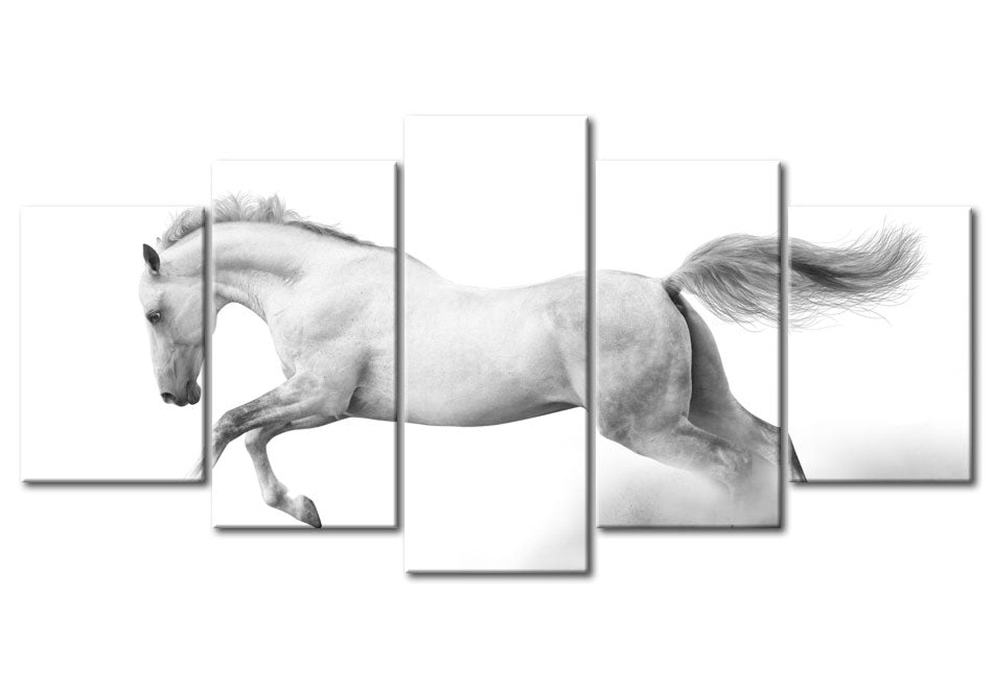 Animal Canvas Wall Art - White Horse - 5 Pieces