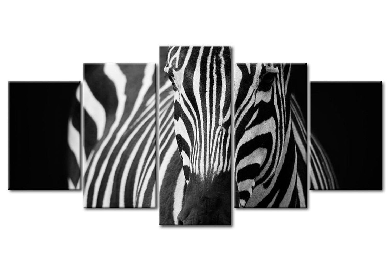 Animal Canvas Wall Art - Zebra Look - 5 Pieces