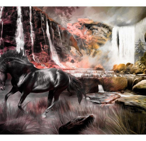 Animal Wallpaper Wall Mural - Black Horse By A Waterfall