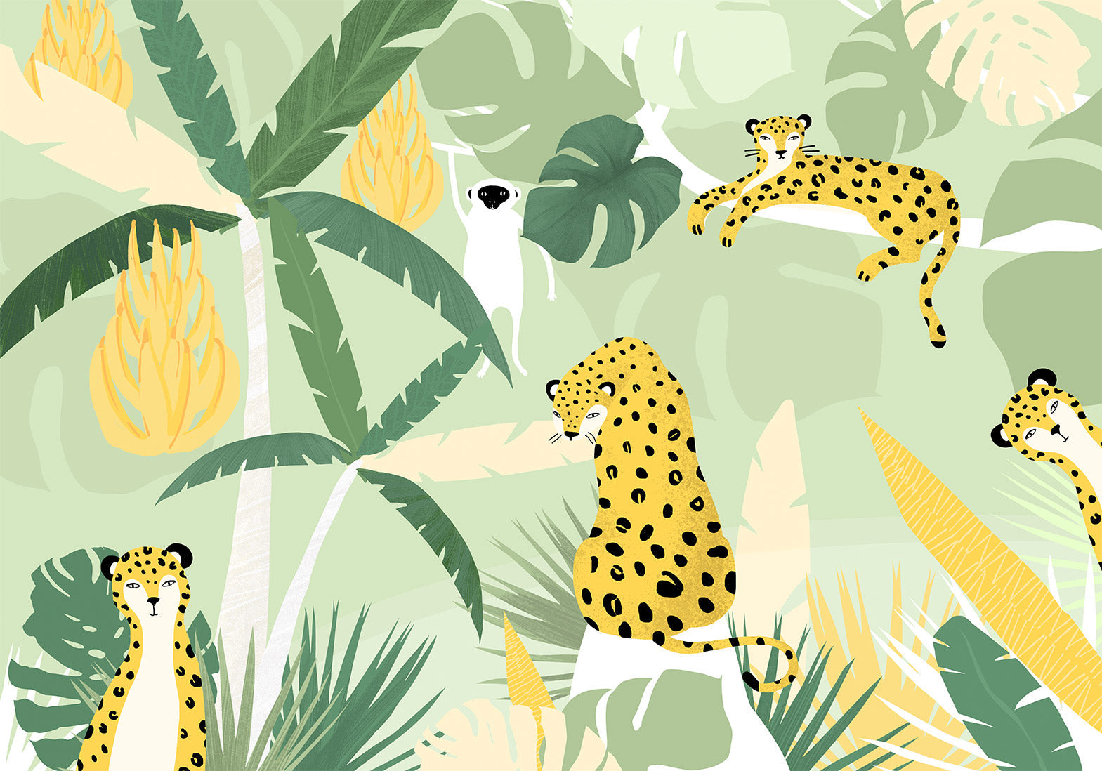 Animal Wallpaper Wall Mural - Cheetahs in the Jungle