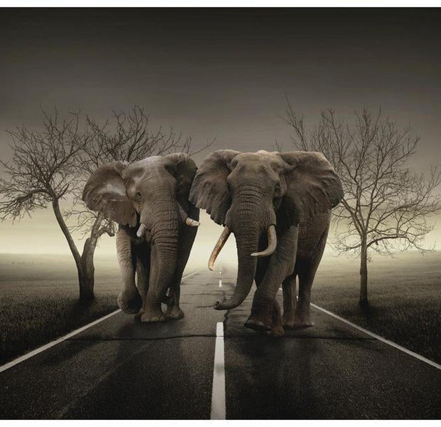 Animal Wallpaper Wall Mural - City Of Elephants