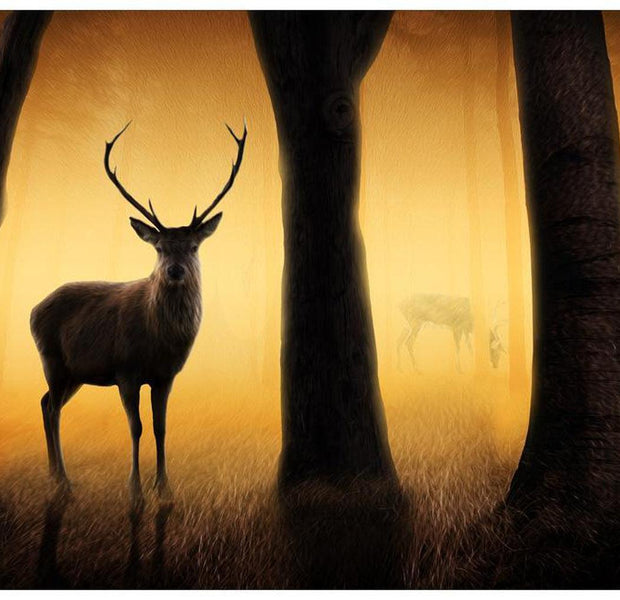 Animal Wallpaper Wall Mural - Deer In His Natural Habitat