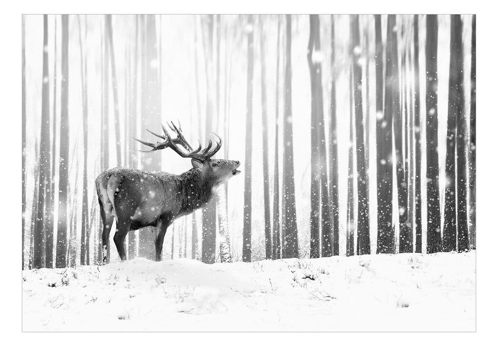 Animal Wall Mural - Deer In The Snow Black And White-Tiptophomedecor