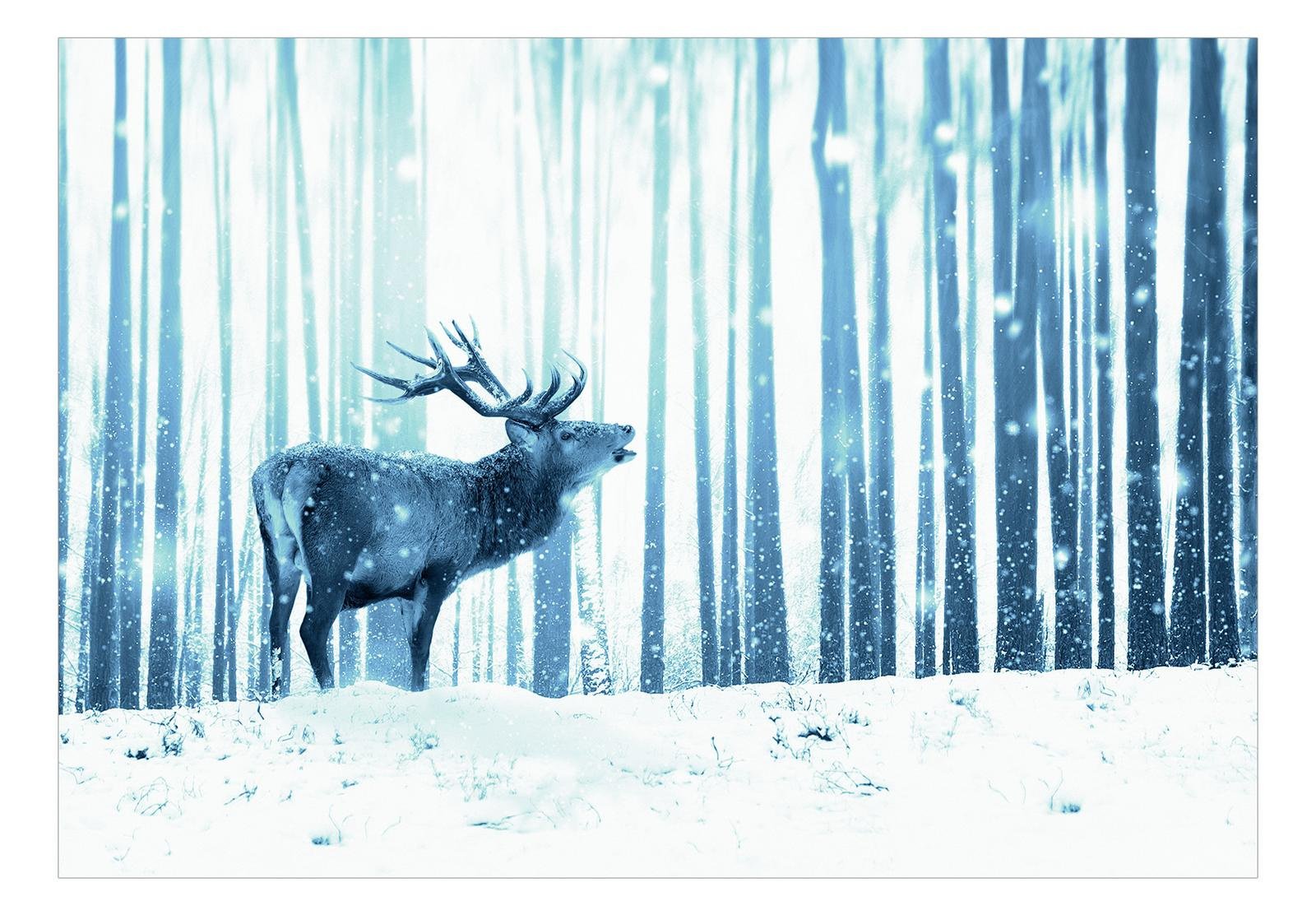 Animal Wall Mural - Deer In The Snow Blue-Tiptophomedecor