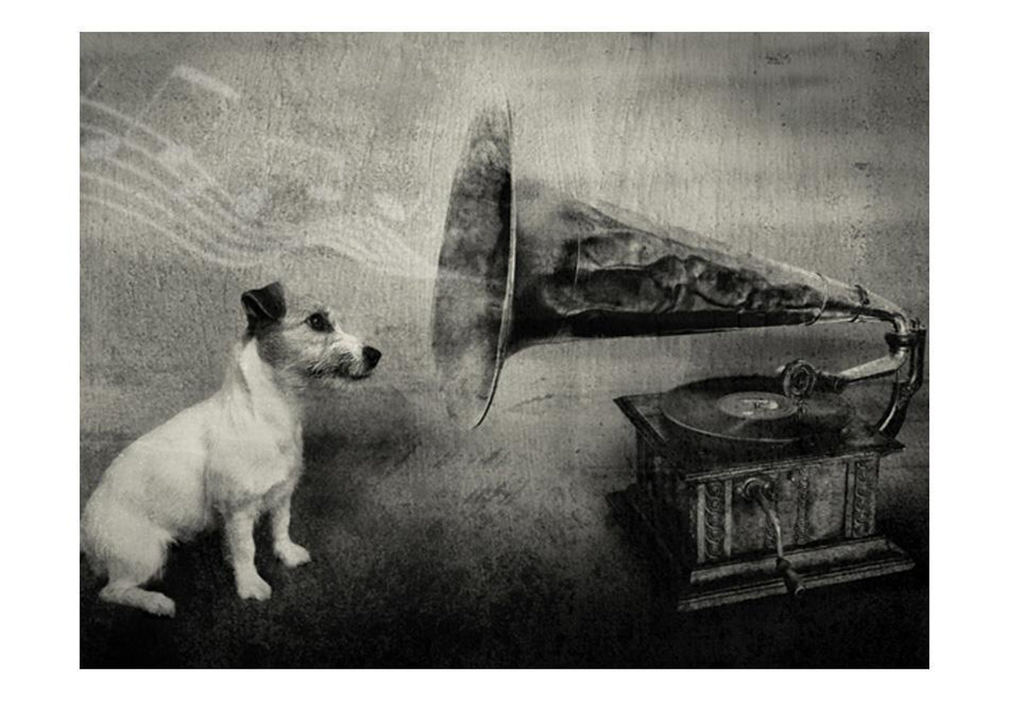 Wall mural - Dog's melodies-TipTopHomeDecor