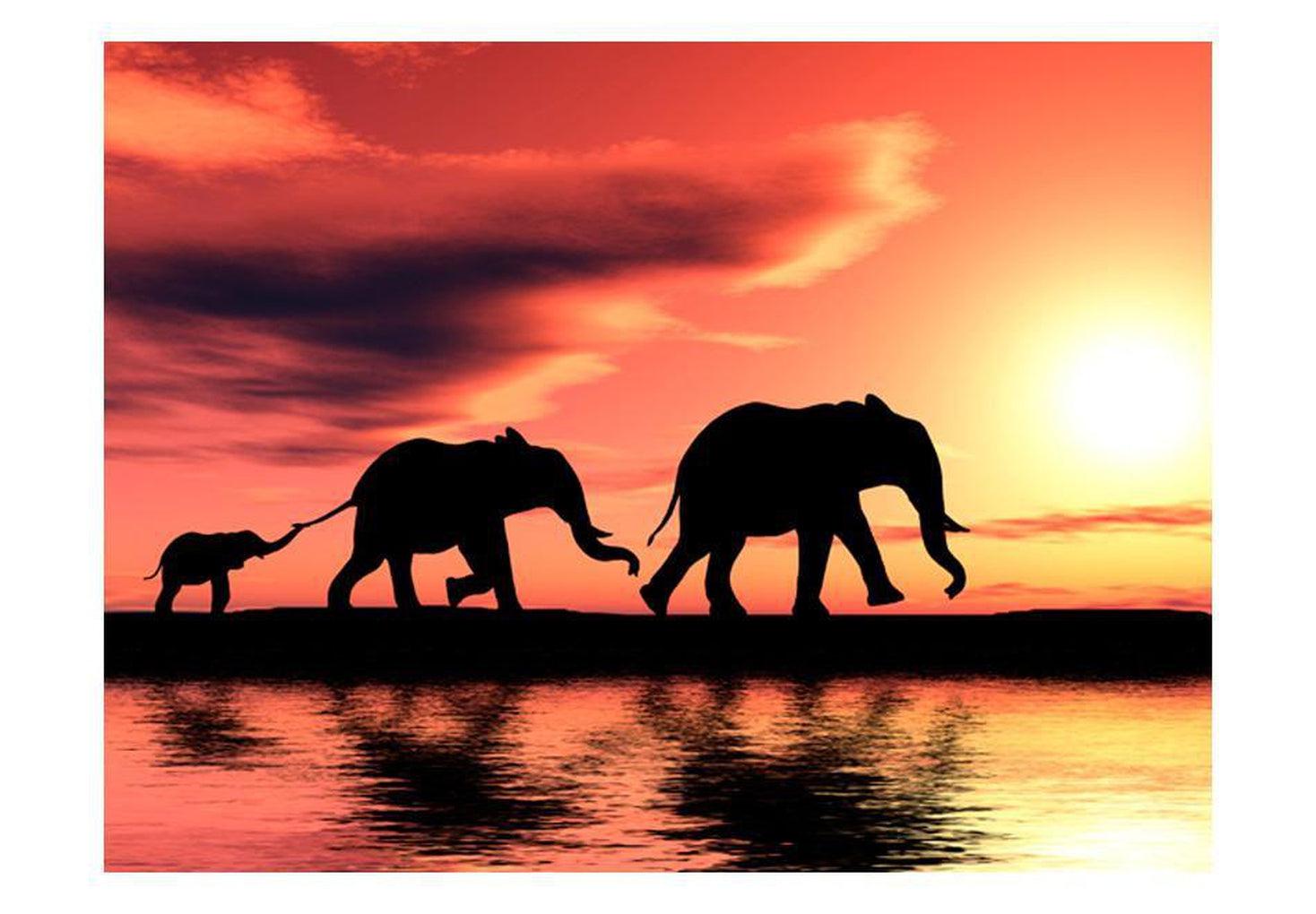 Animal Wallpaper Wall Mural - Elephants: Family