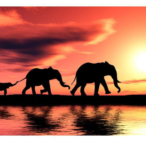 Animal Wallpaper Wall Mural - Elephants: Family
