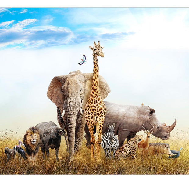 Animal Wallpaper Wall Mural - Fauna Of Africa