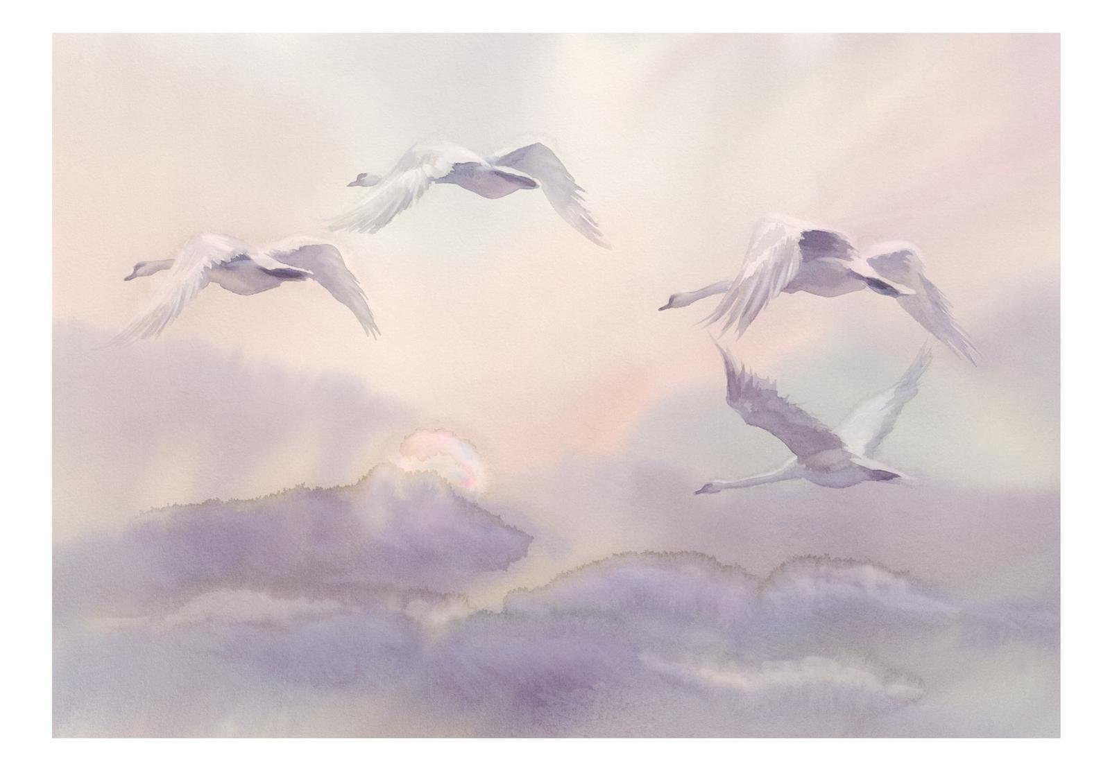 Animal Wallpaper Wall Mural - Flying Swans