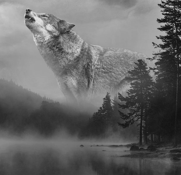 Animal Wallpaper Wall Mural - Forest Secrets