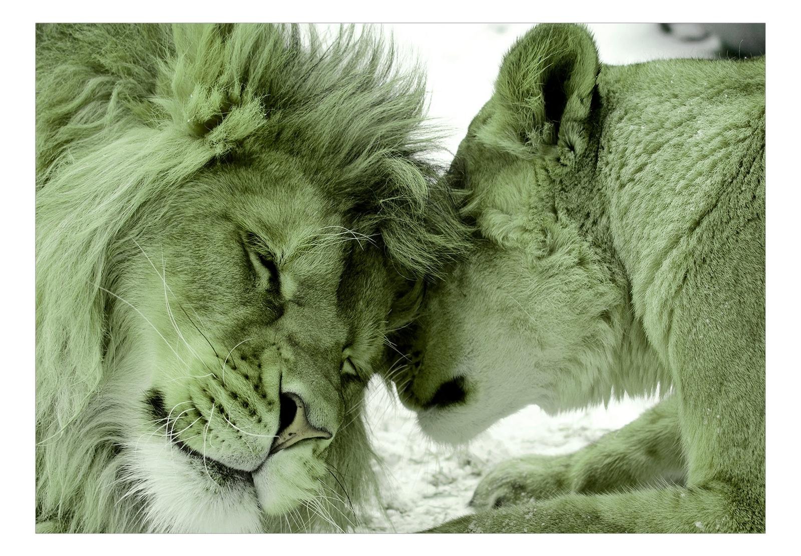 Animal Wall Mural - Lion Tenderness Green-Tiptophomedecor