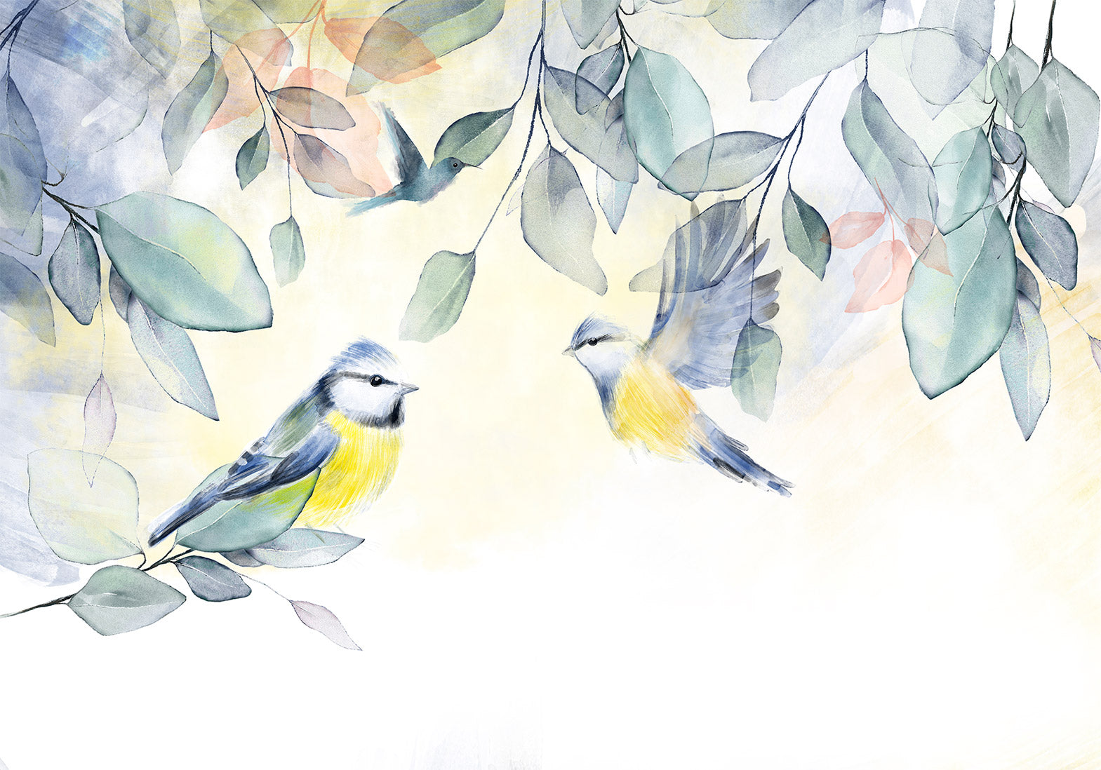 Animal Wallpaper Wall Mural - Watercolor Birds