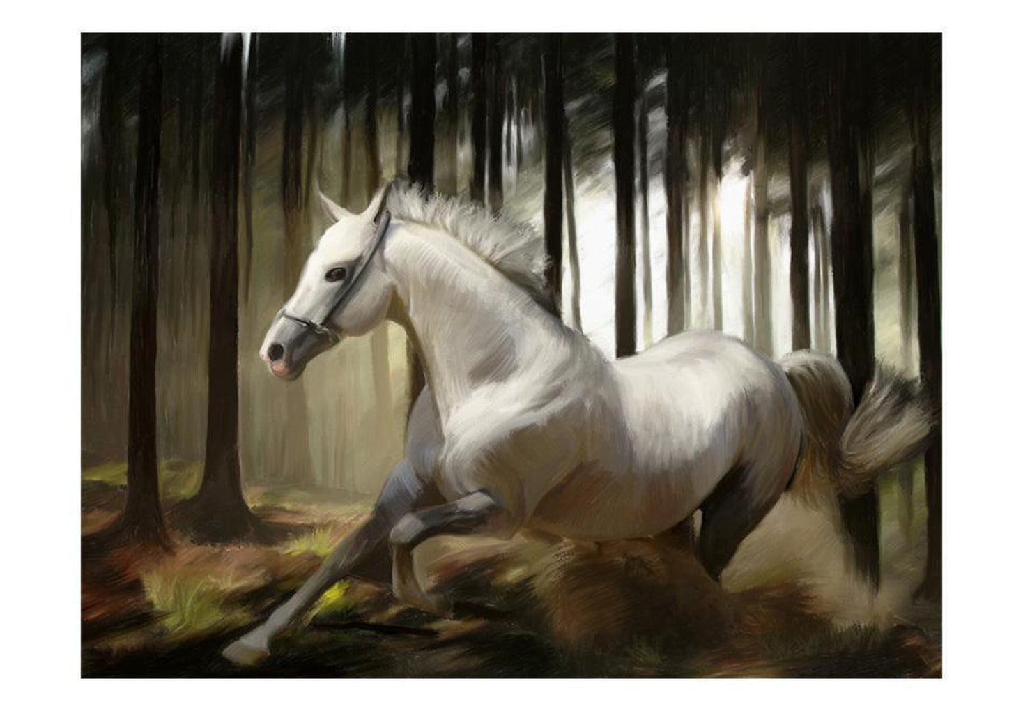 Wall mural - White chase-TipTopHomeDecor