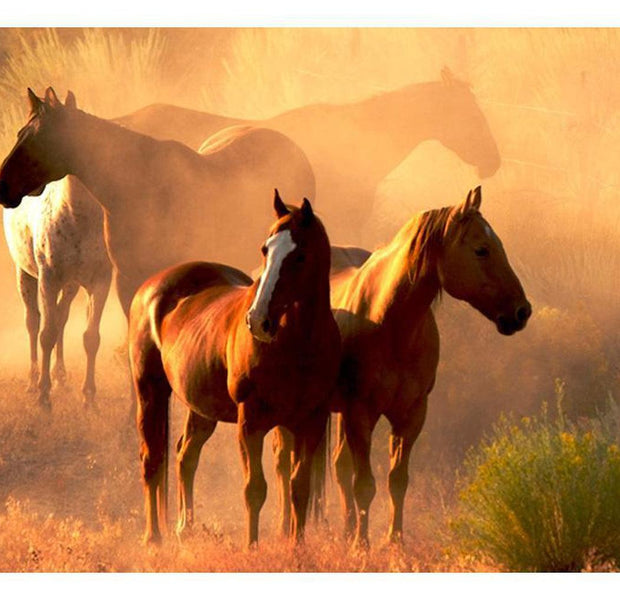 Animal Wallpaper Wall Mural - Wild Horses Of The Steppe