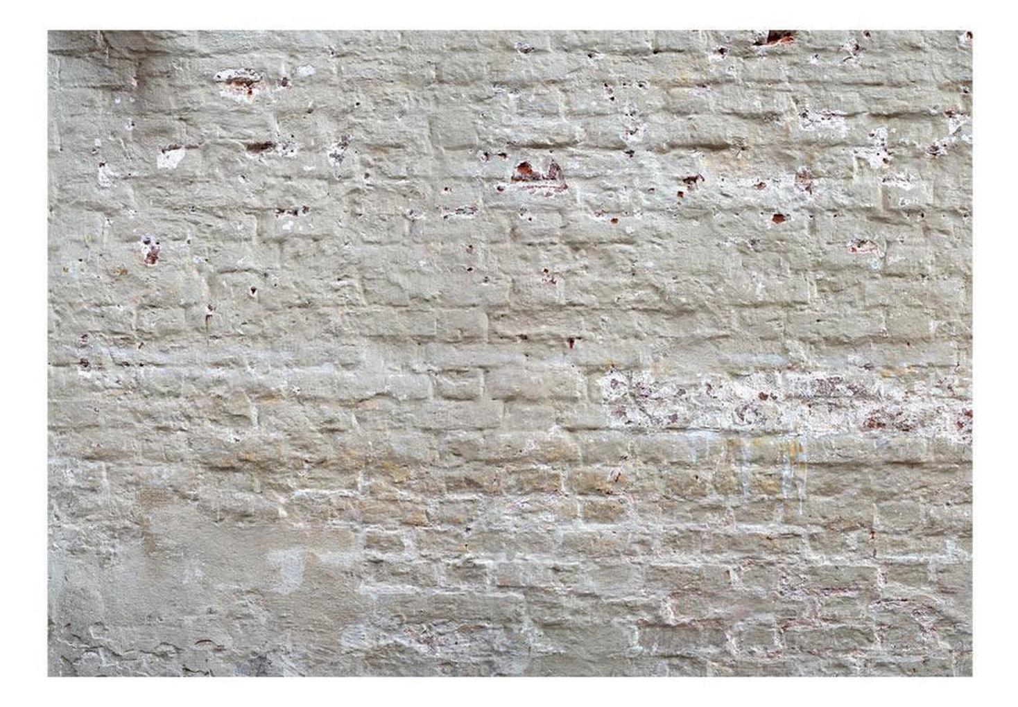 Surface Texture Wallpaper Wall Mural - Beige Weathered Brick Wall