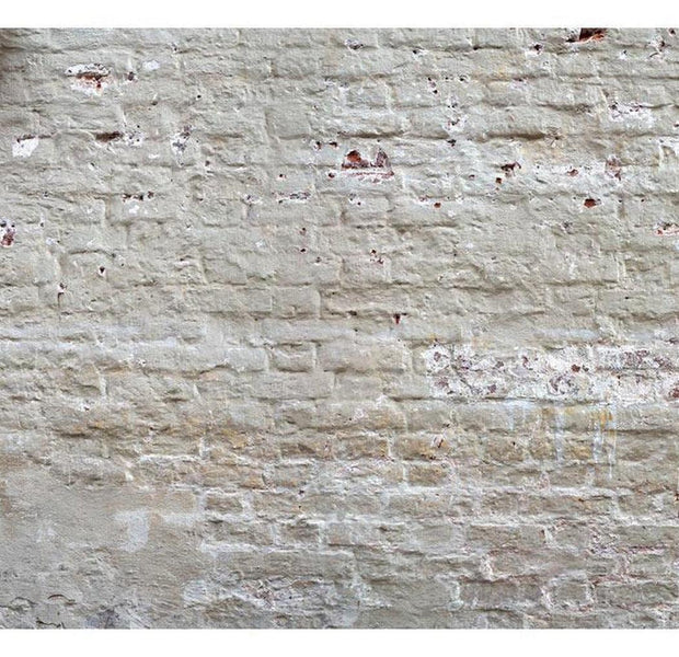 Surface Texture Wallpaper Wall Mural - Beige Weathered Brick Wall