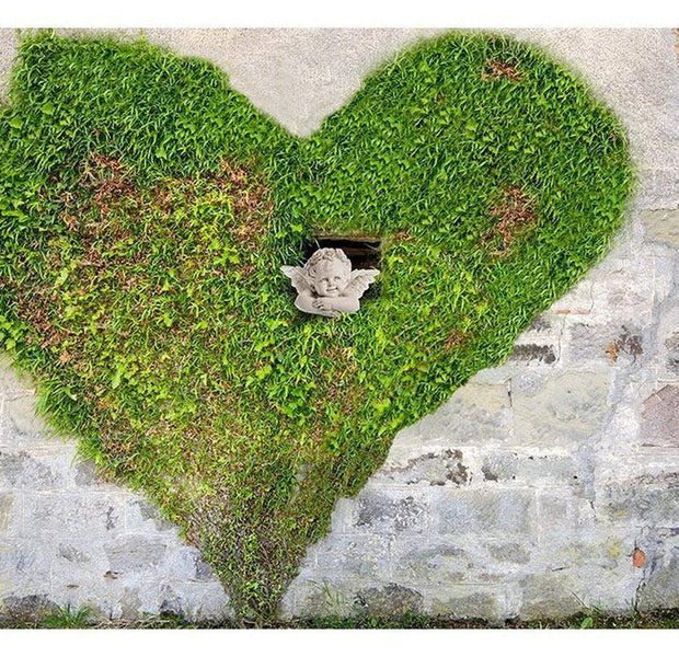 Surface Texture Wallpaper Wall Mural - Brick Wall and Green Heart