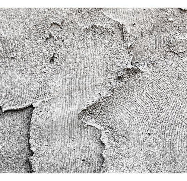 Surface Texture Wallpaper Wall Mural - Concrete Rough Plaster
