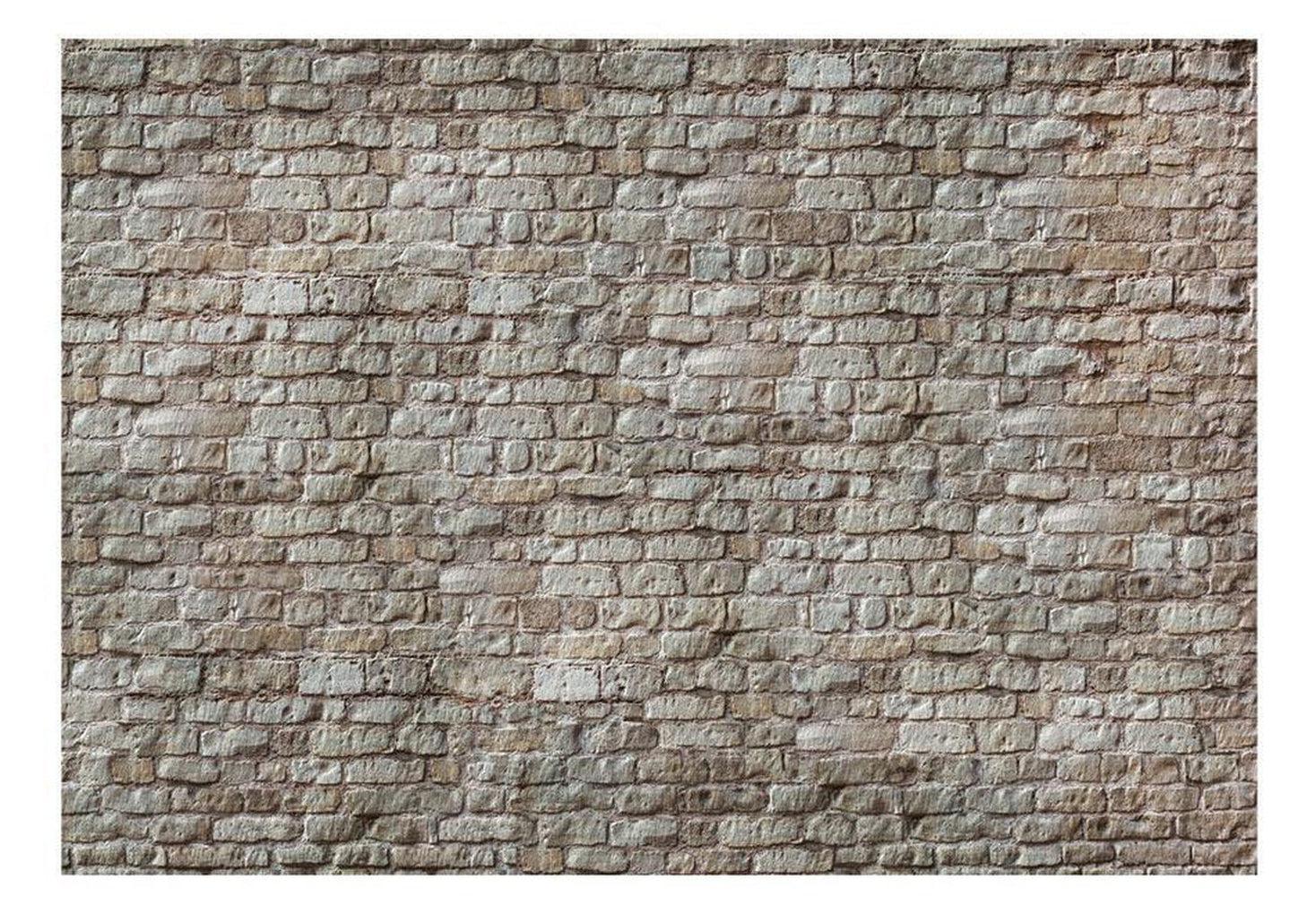 Surface Texture Wallpaper Wall Mural - Exposed Weathered Brick Wall