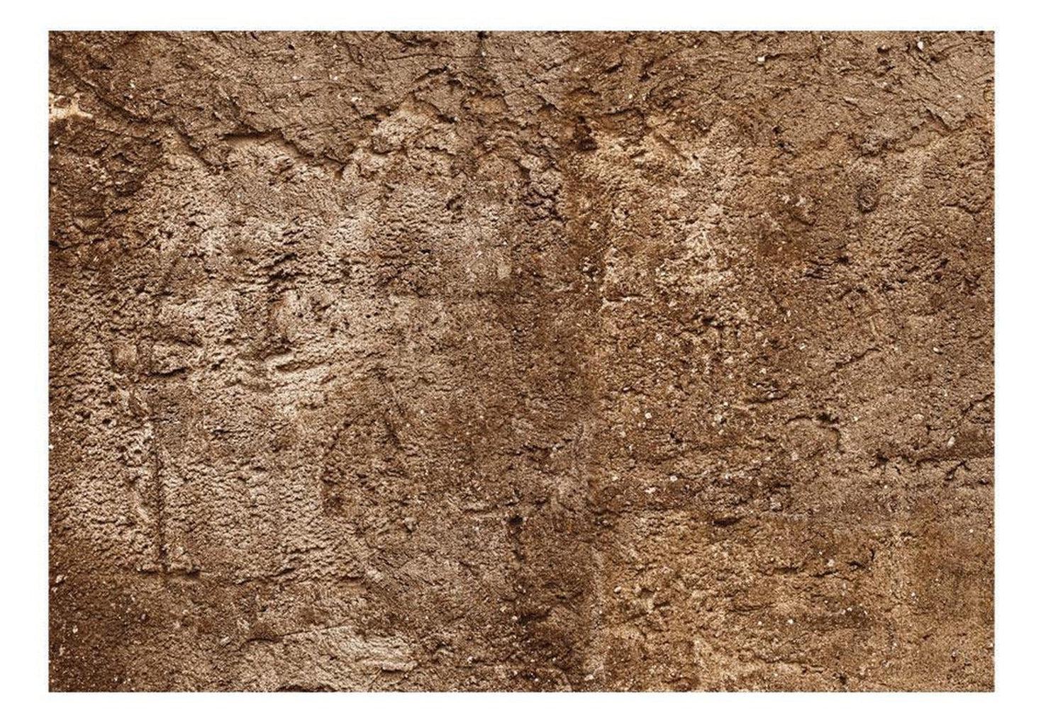 Surface Texture Wallpaper Wall Mural - Old Brown Concrete Wall