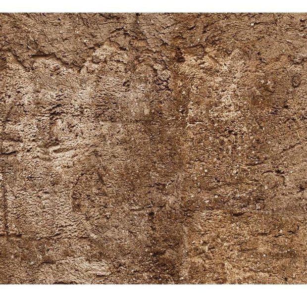 Surface Texture Wallpaper Wall Mural - Old Brown Concrete Wall