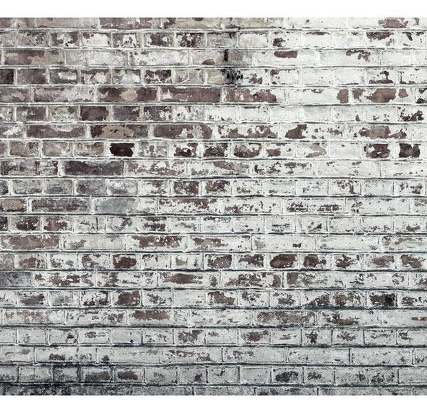 Surface Texture Wallpaper Wall Mural - The Wall of Ages