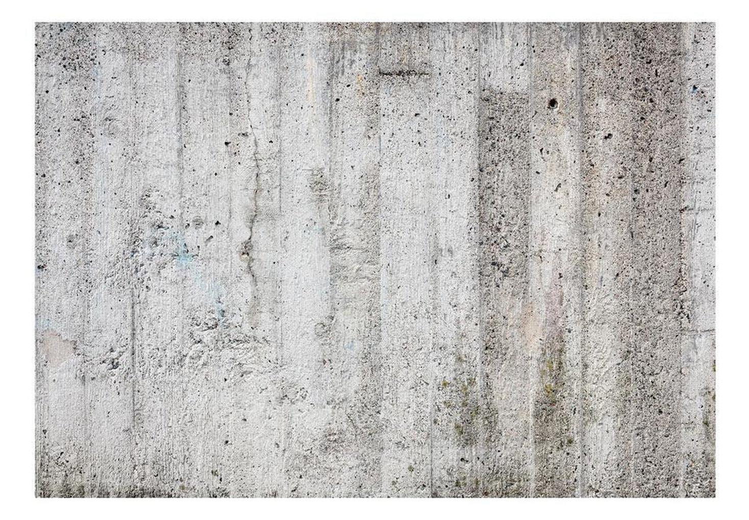 Surface Texture Wallpaper Wall Mural - Old Concrete Plaster