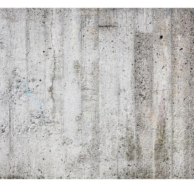 Surface Texture Wallpaper Wall Mural - Old Concrete Plaster