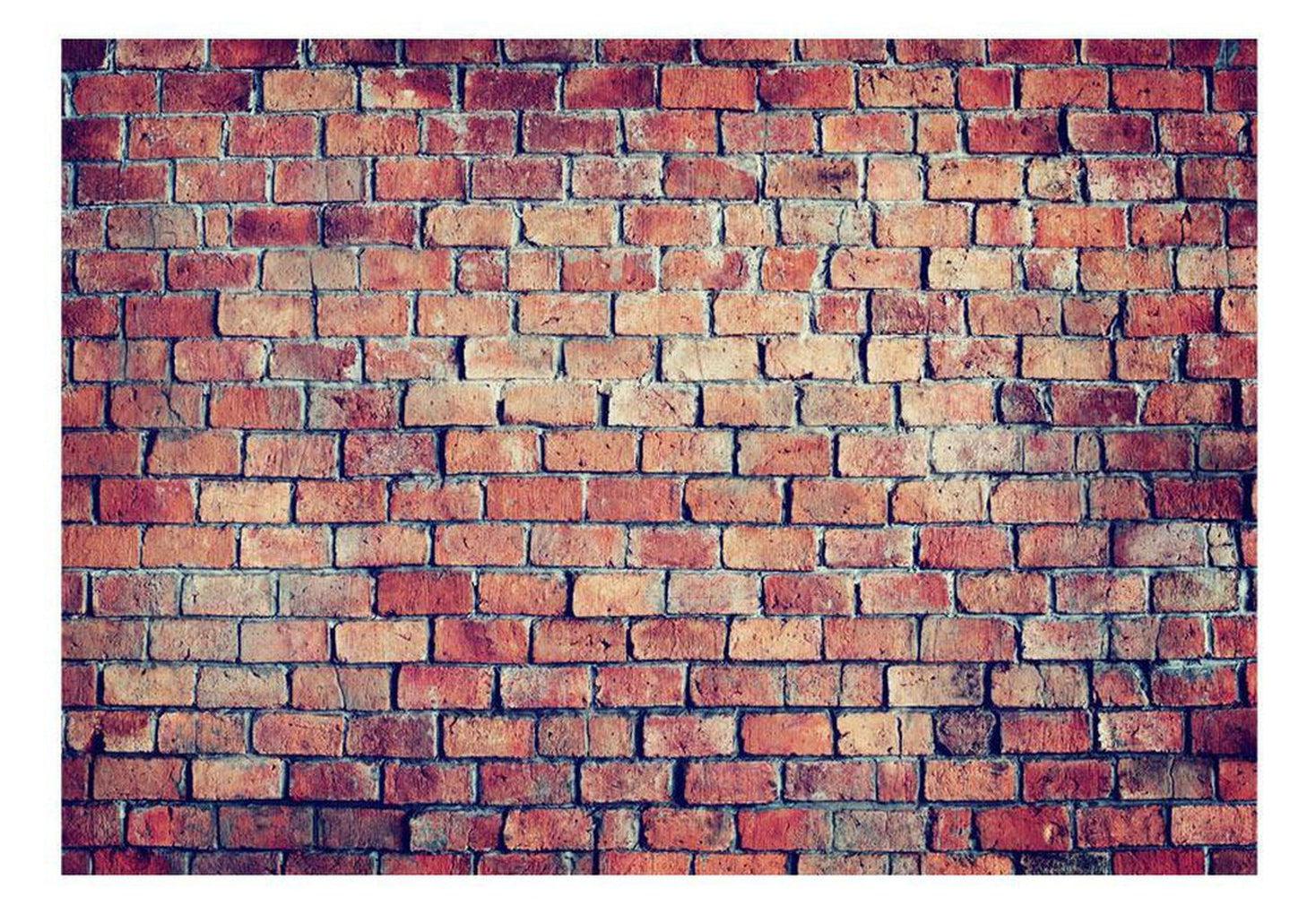 Surface Texture Wallpaper Wall Mural - Old Vintage Red Brick Wall