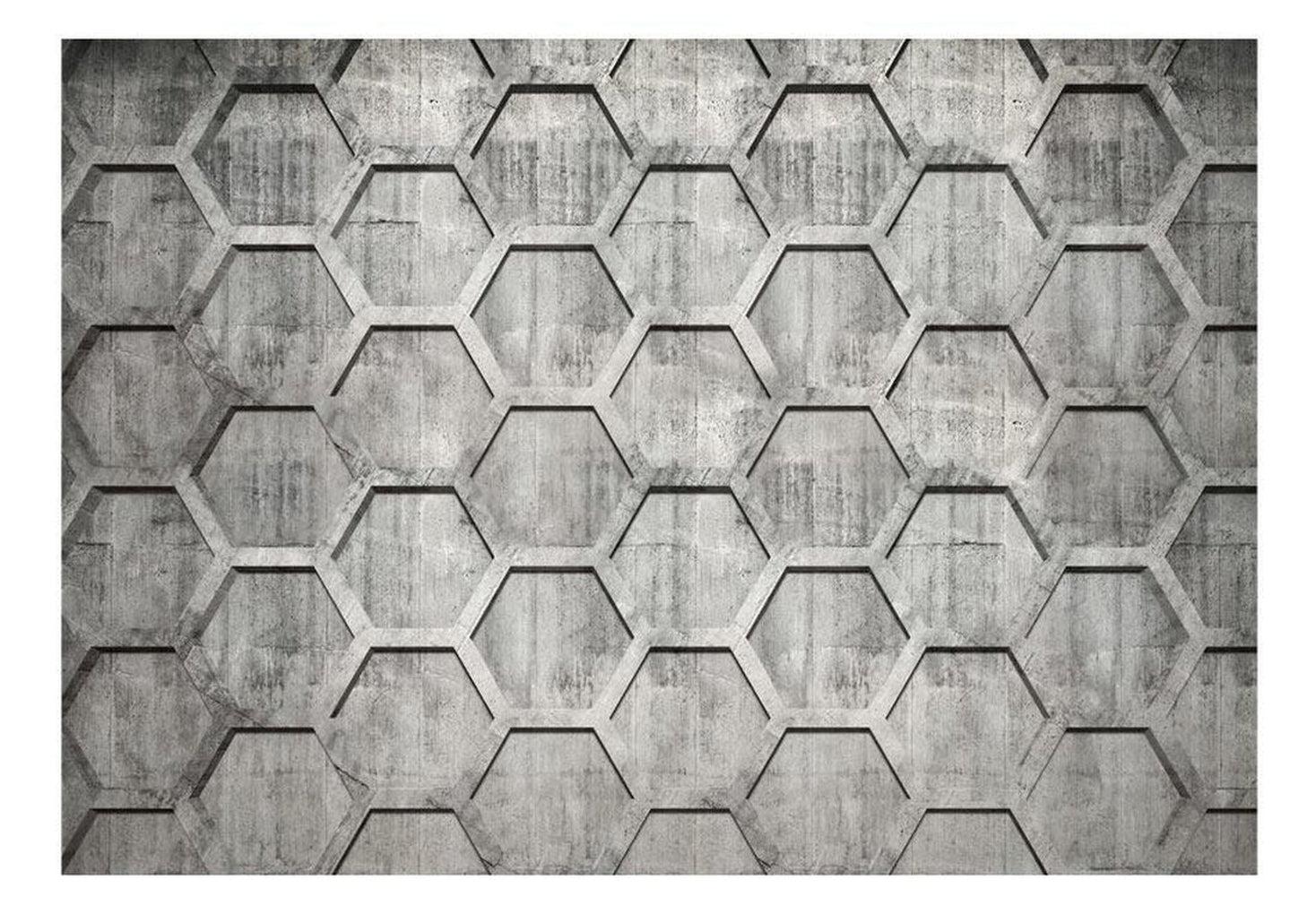 Surface Texture Wallpaper Wall Mural - Platinum Hexagons