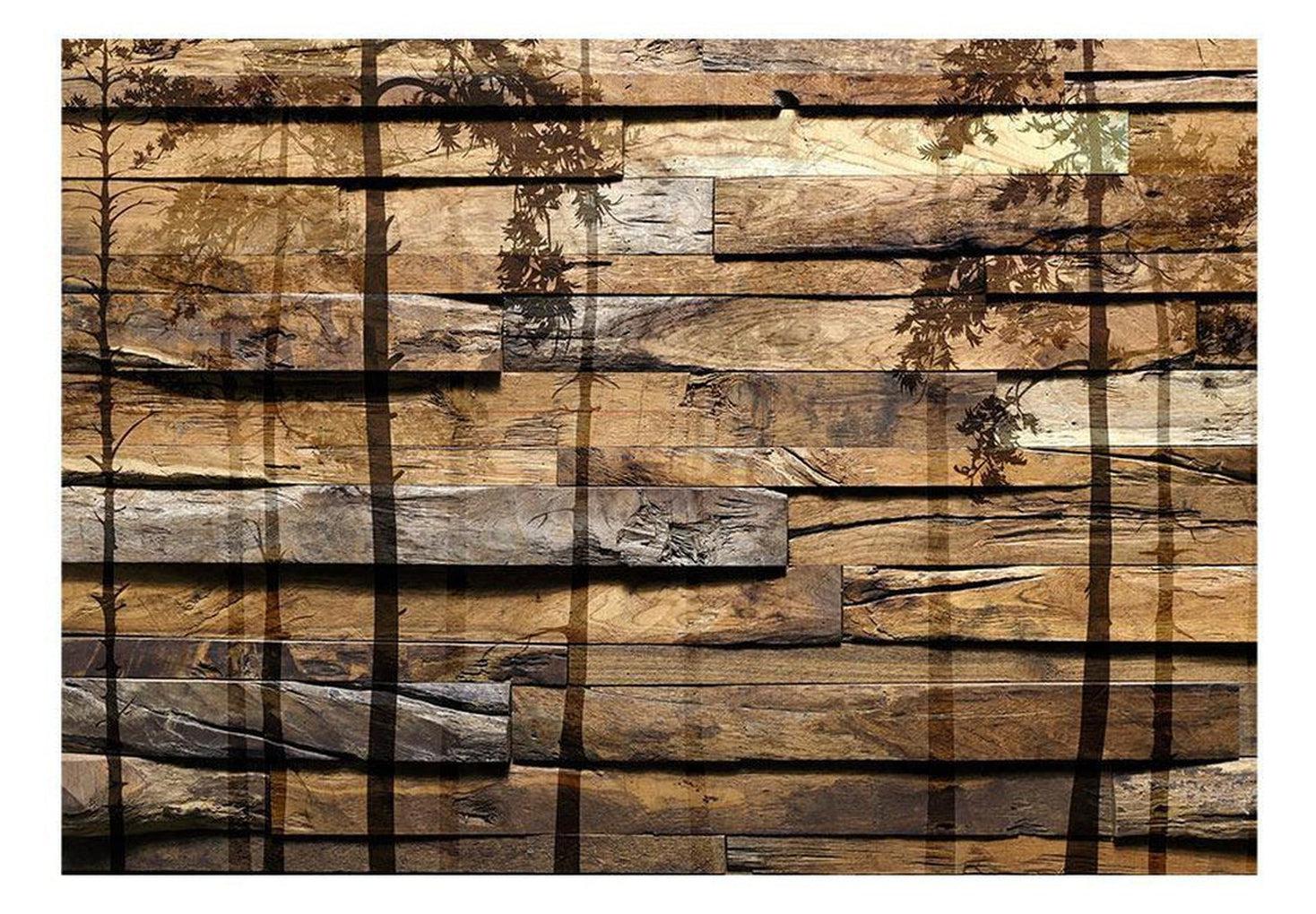 Surface Texture Wallpaper Wall Mural - Shadow Of Trees On Wood