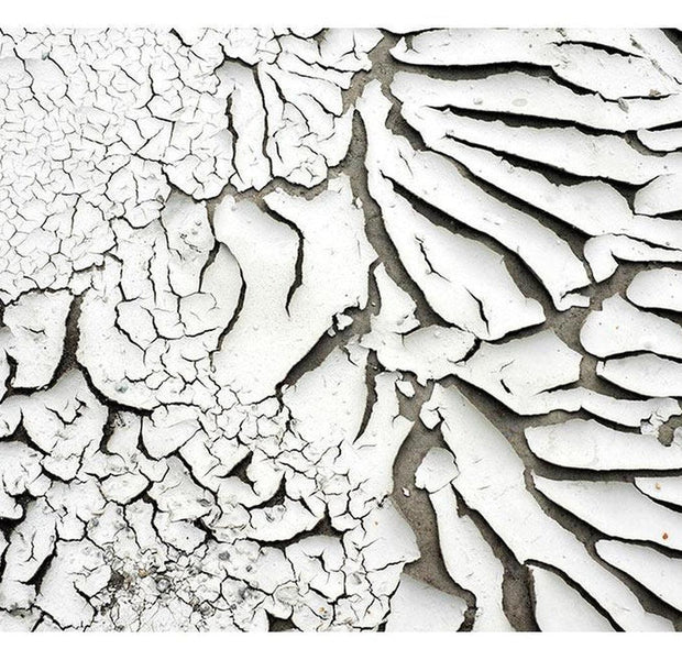 Surface Texture Wallpaper Wall Mural - Signs Of The Time