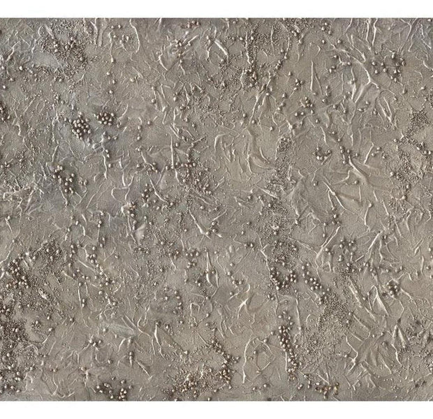 Surface Texture Wallpaper Wall Mural - Silver Serenade