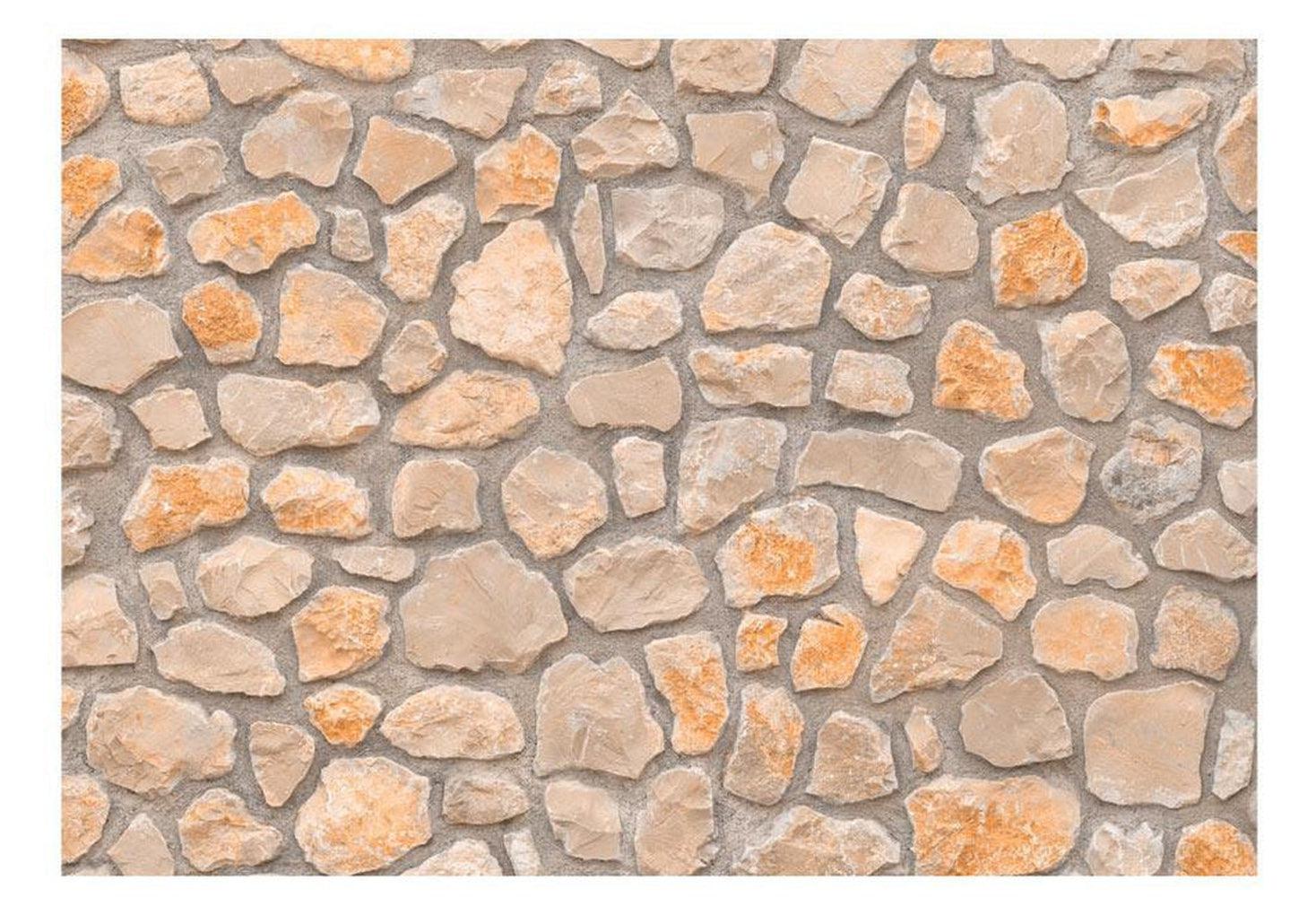 Surface Texture Wallpaper Wall Mural - Stone Age