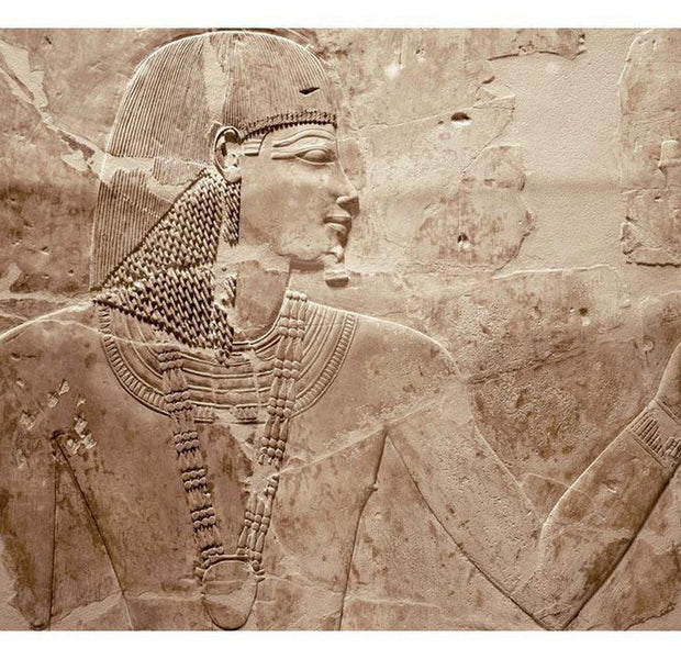 Surface Texture Wallpaper Wall Mural - Stone Pharaoh