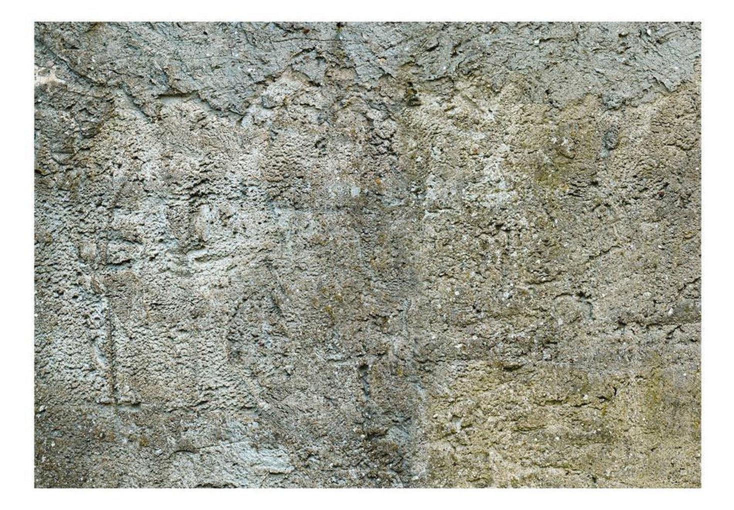 Surface Texture Wallpaper Wall Mural - Old Concrete Castle Wall