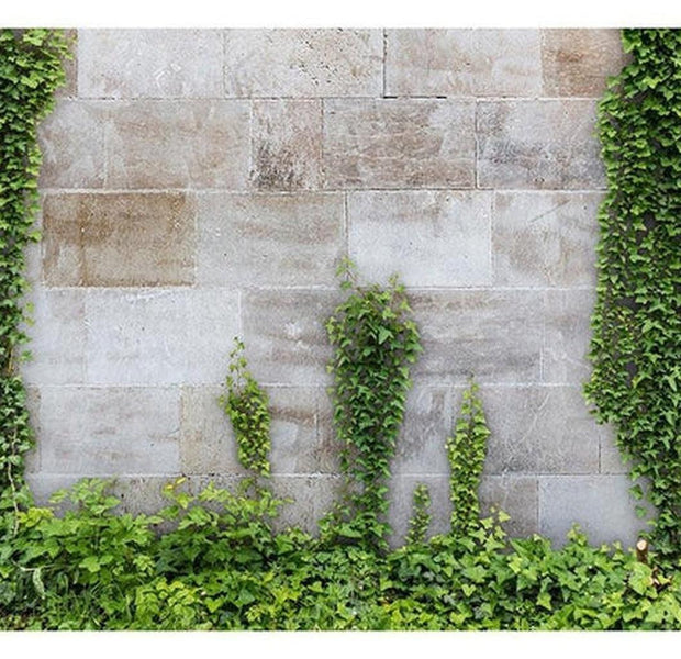 Surface Texture Wallpaper Wall Mural - The Forgotten Garden